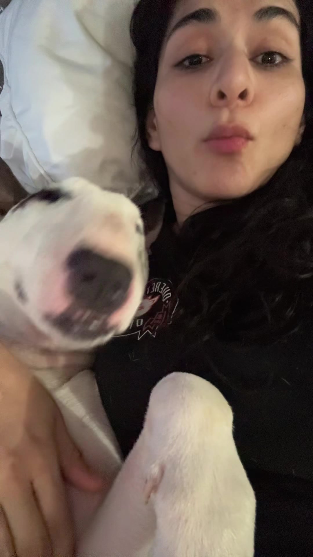 @poladygaga