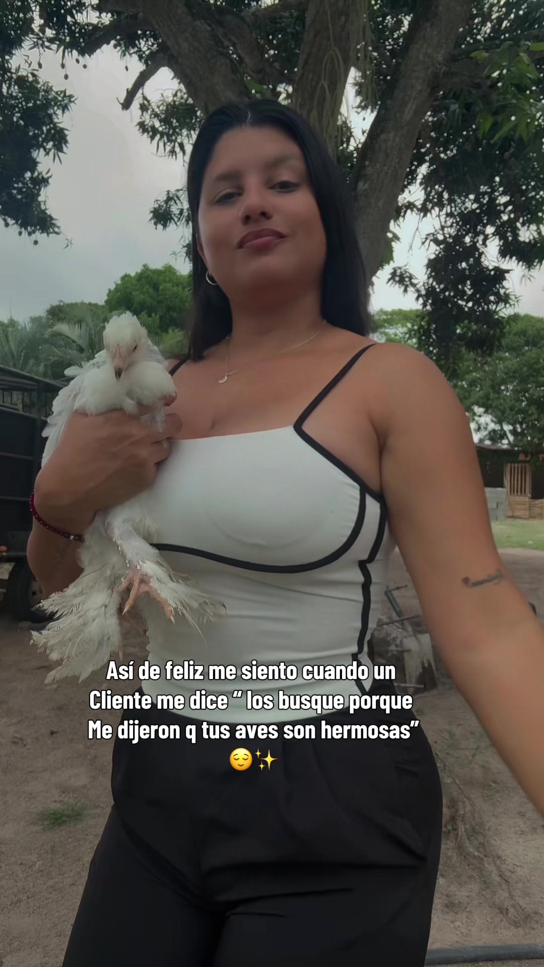 @Granjamascotalandiayaracuy