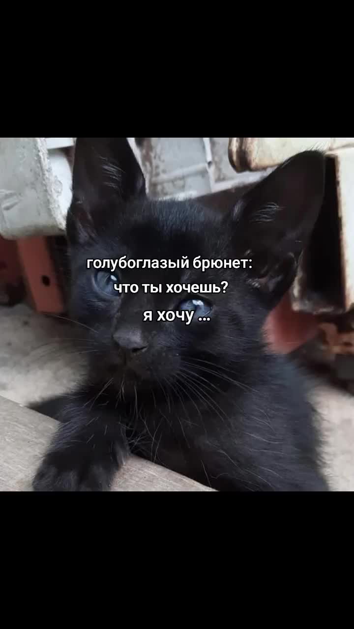 @𝄞ⲁⲕⲥⲟⲗⲟⲧⲗь✰