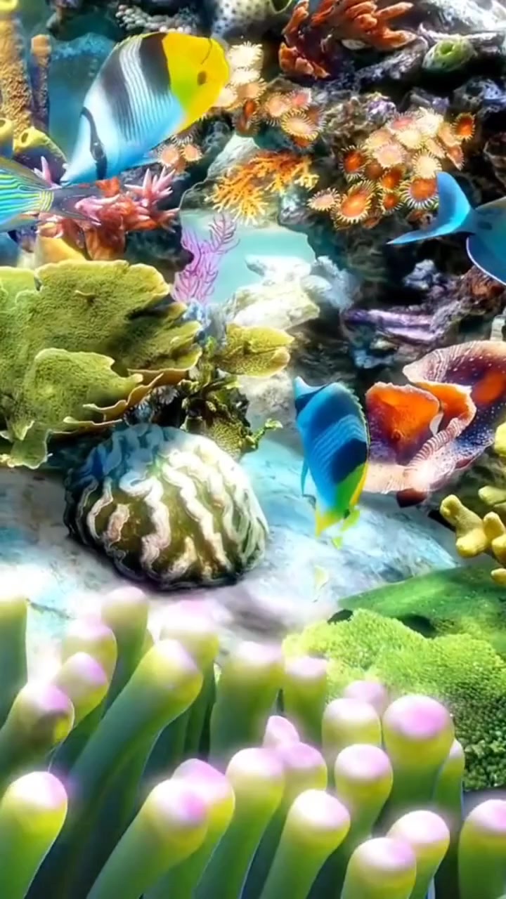 @Lionghoaho