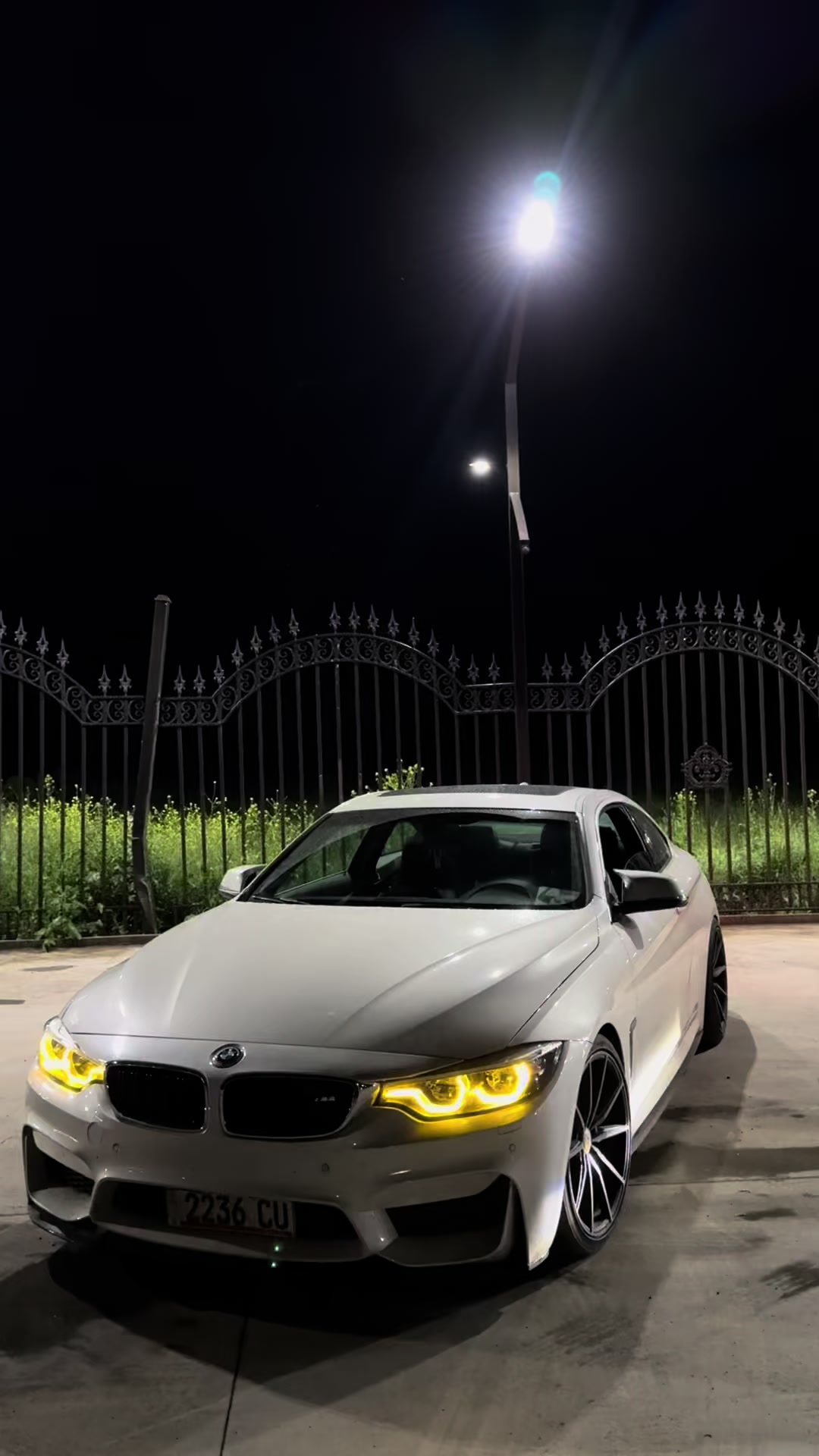 @guseyn.alievv