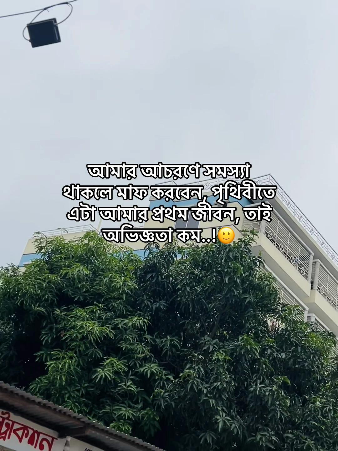 @টিক-টিকি