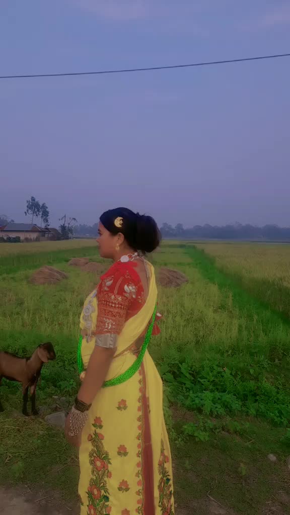 @gayatrichaudhary31