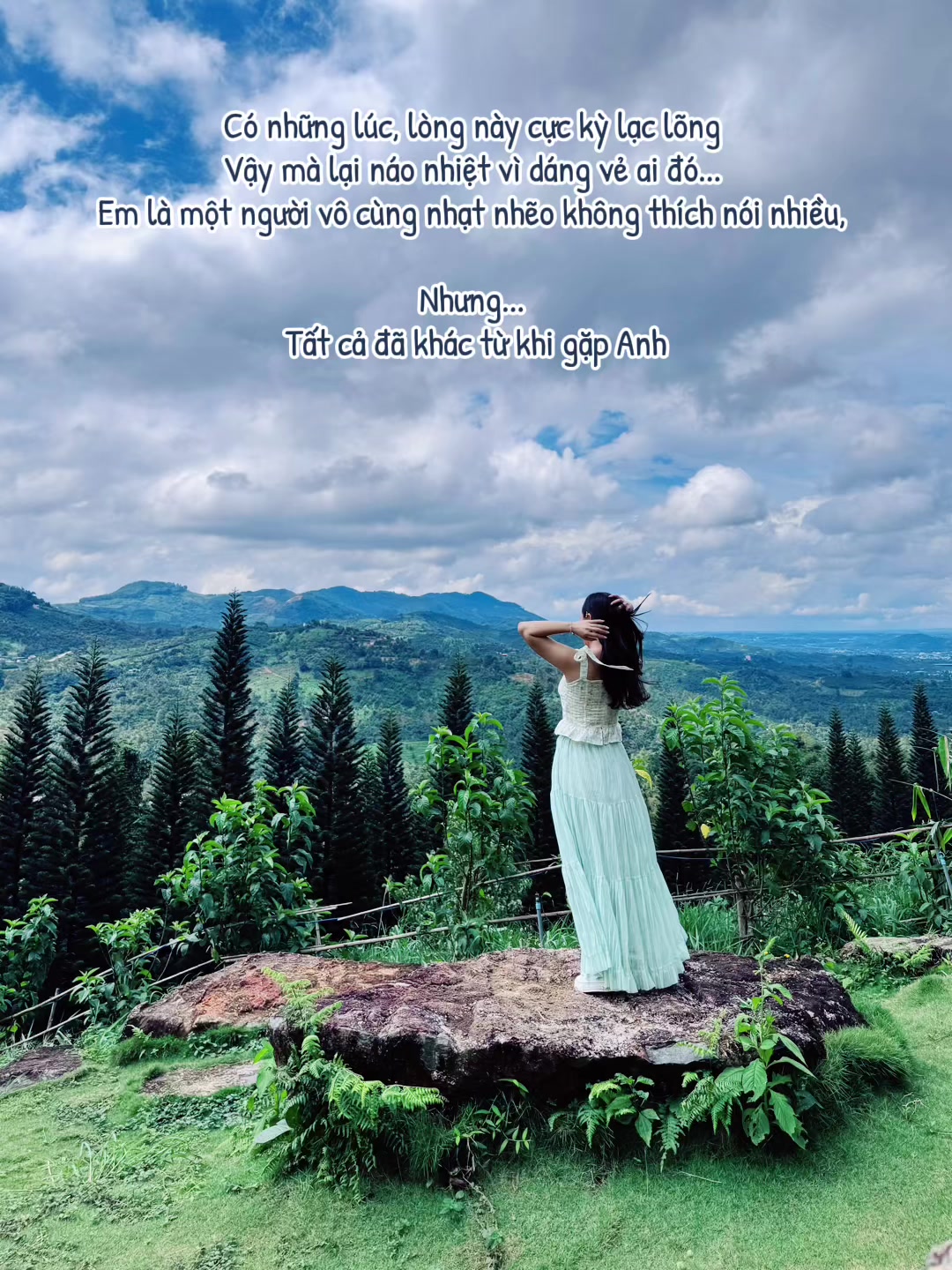 @🧚♂️Bồ Công Anh🧚♀️