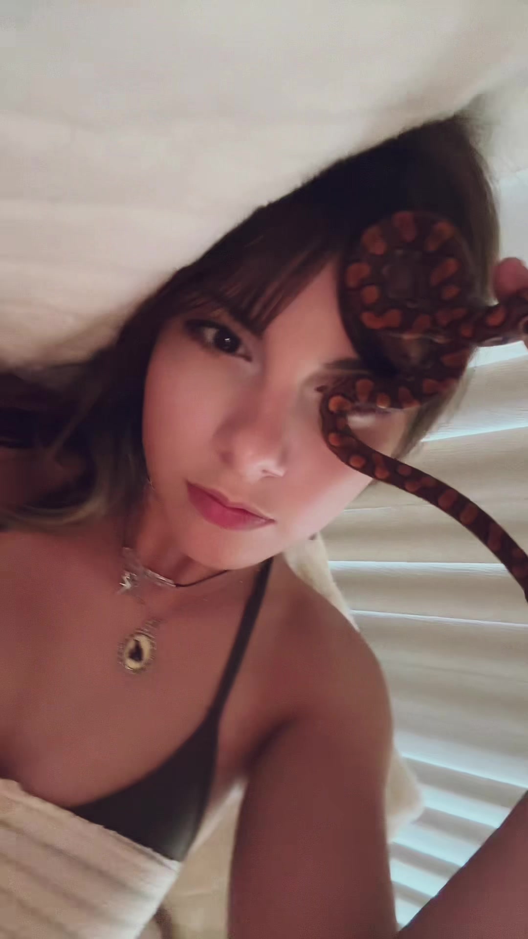 @mudxll