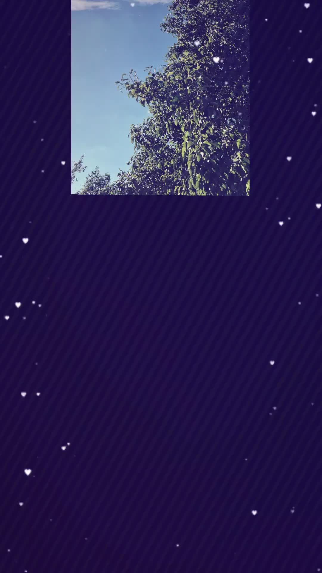 @๐ธ๐๐ธBLü๐ธMel๐ธein๐ธ๐๐ธ
