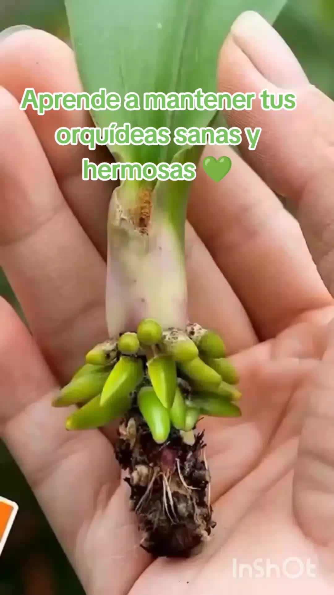 @user20505406424
