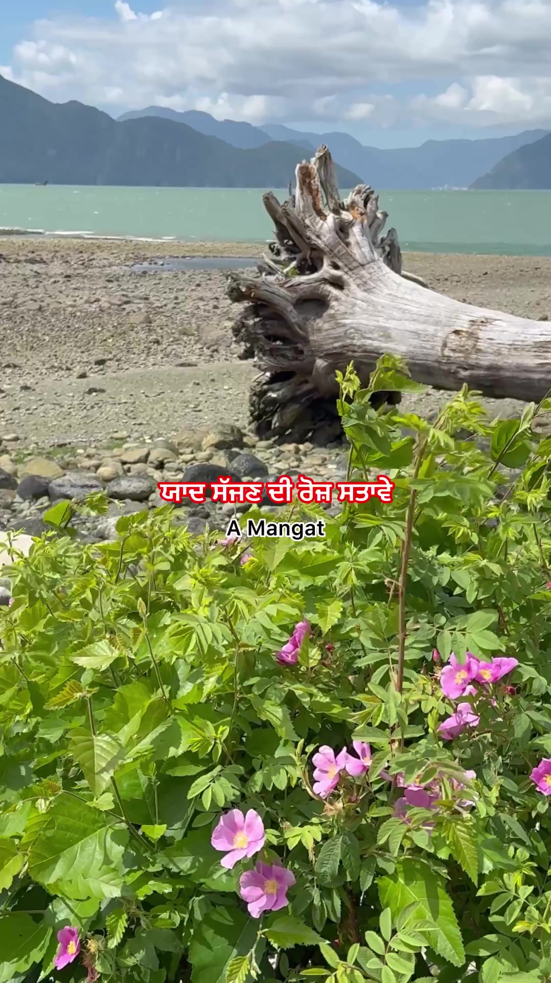 @A Mangat
