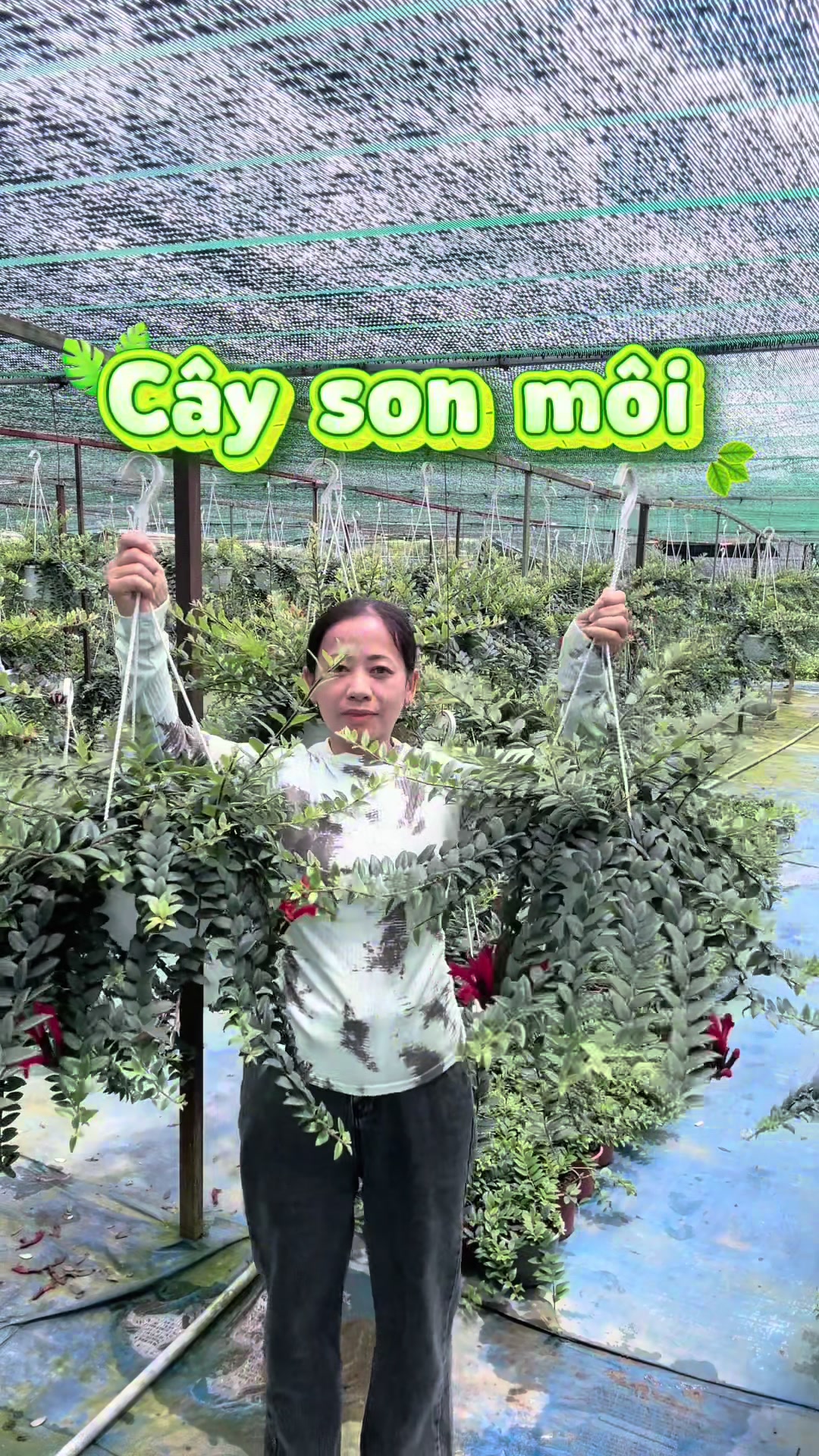 @Vườn Hồ Hân