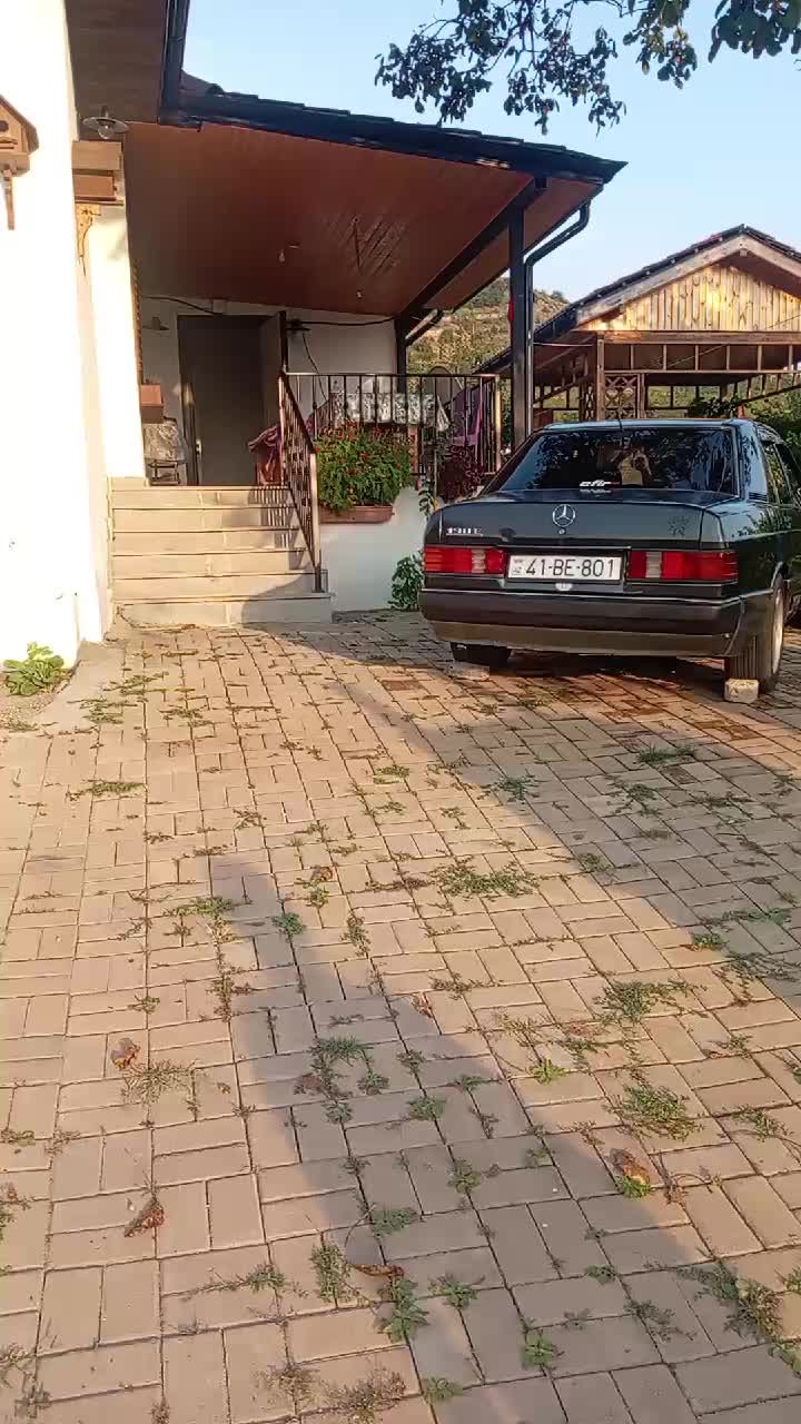 @ZohrabLaçınlı041