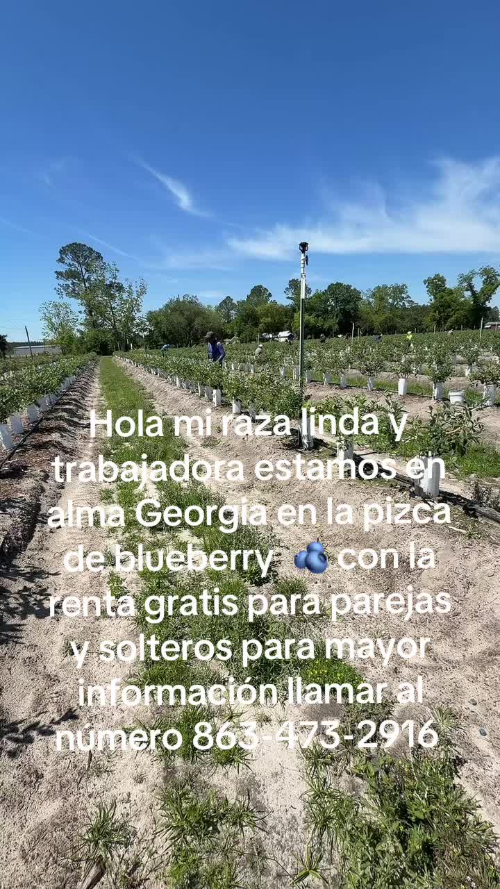 @purarazatrabajadora1