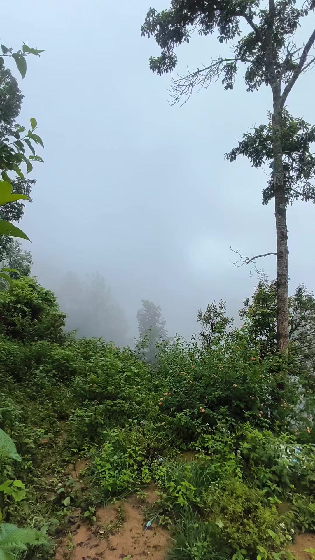 @🧋