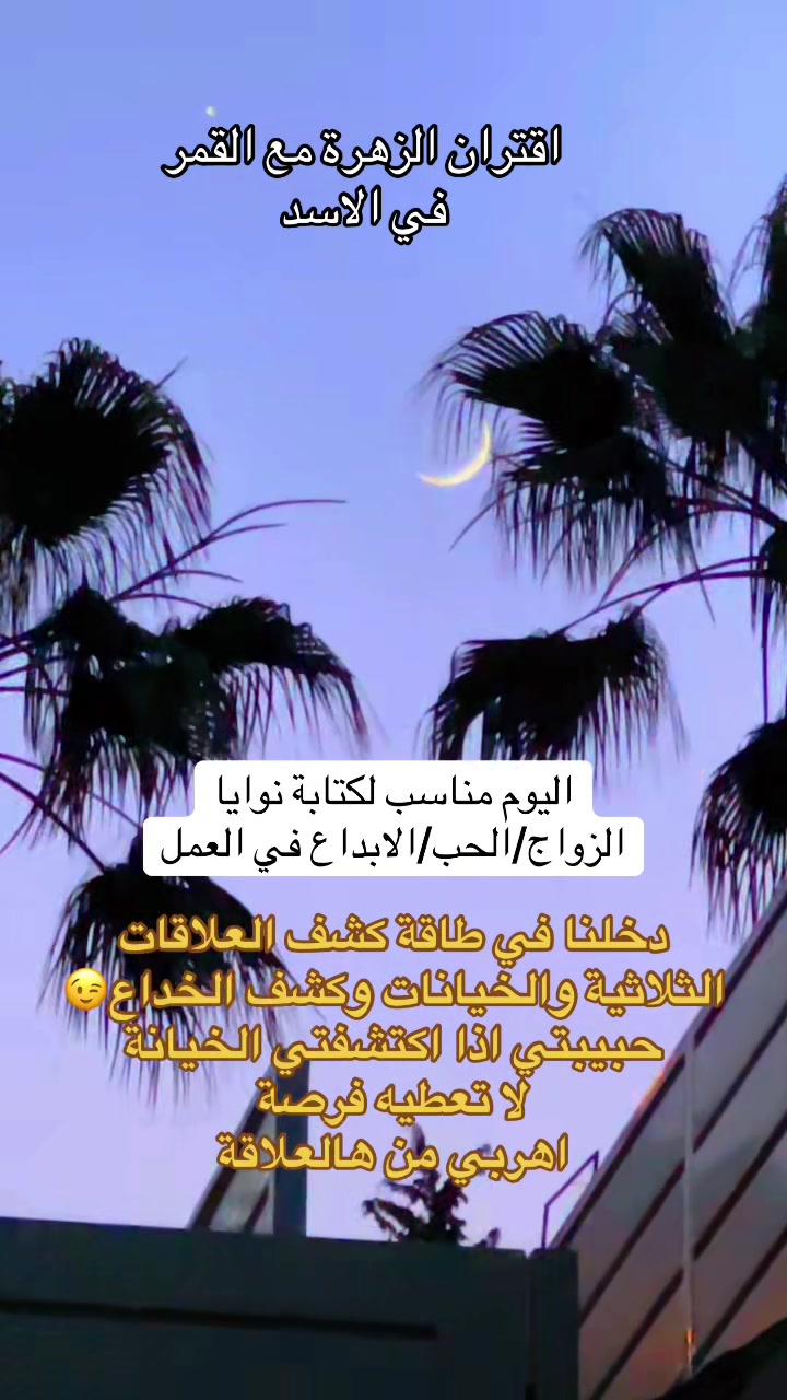 @💫 Nora Hijazi 💫