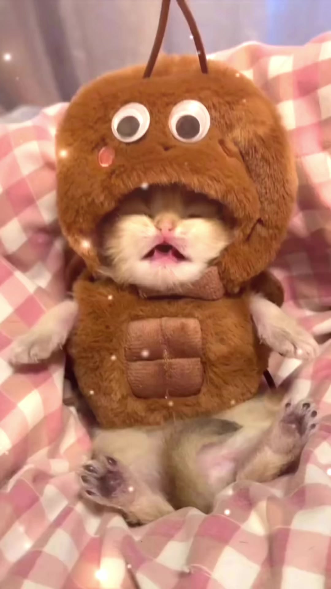 @UCHINOKOmohumohu