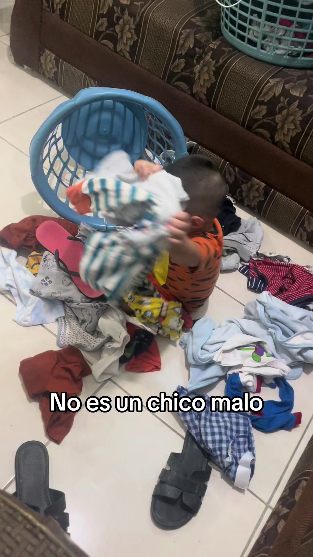 @lupita riojas