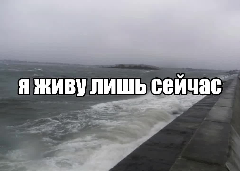 @mitkin