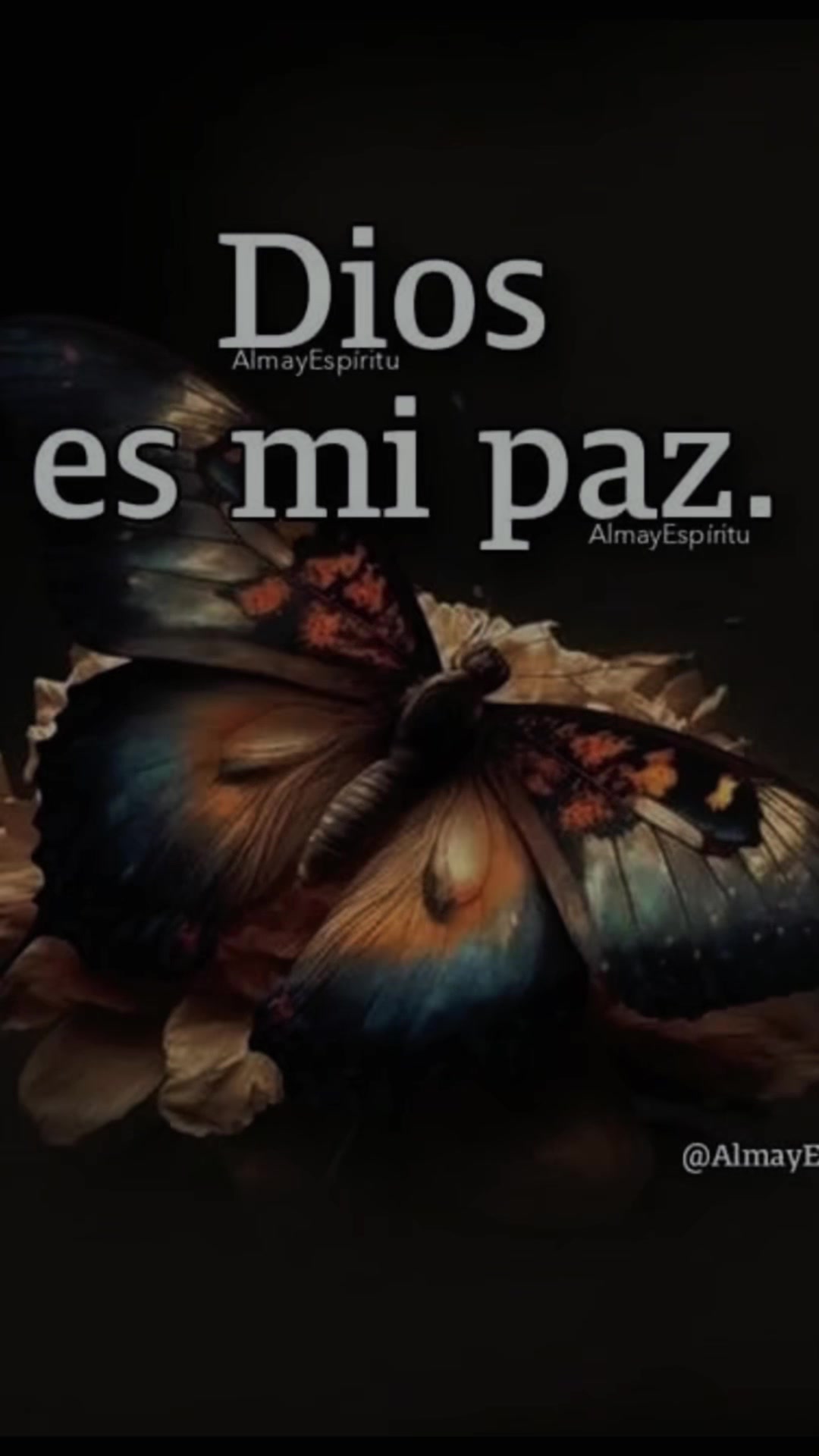 @Gloria María