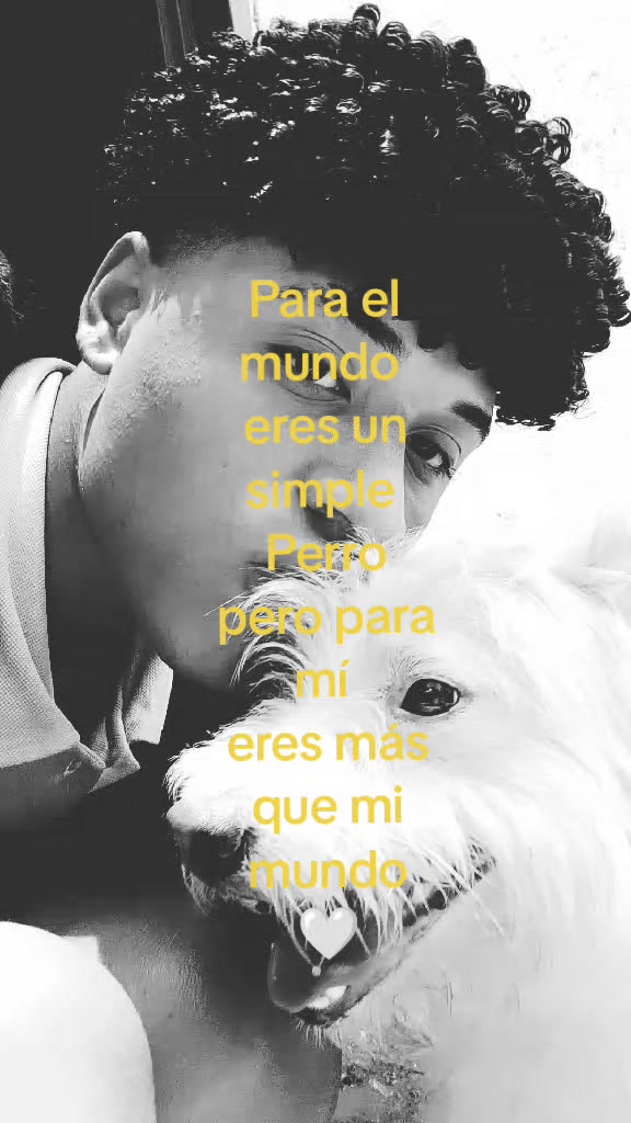 @𝐷𝑟𝑒𝑖 🪄
