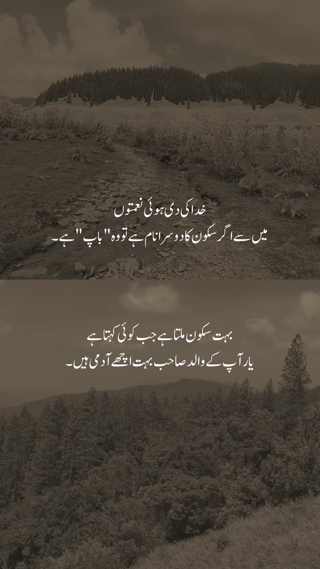 @𓆩شیراز𓆪