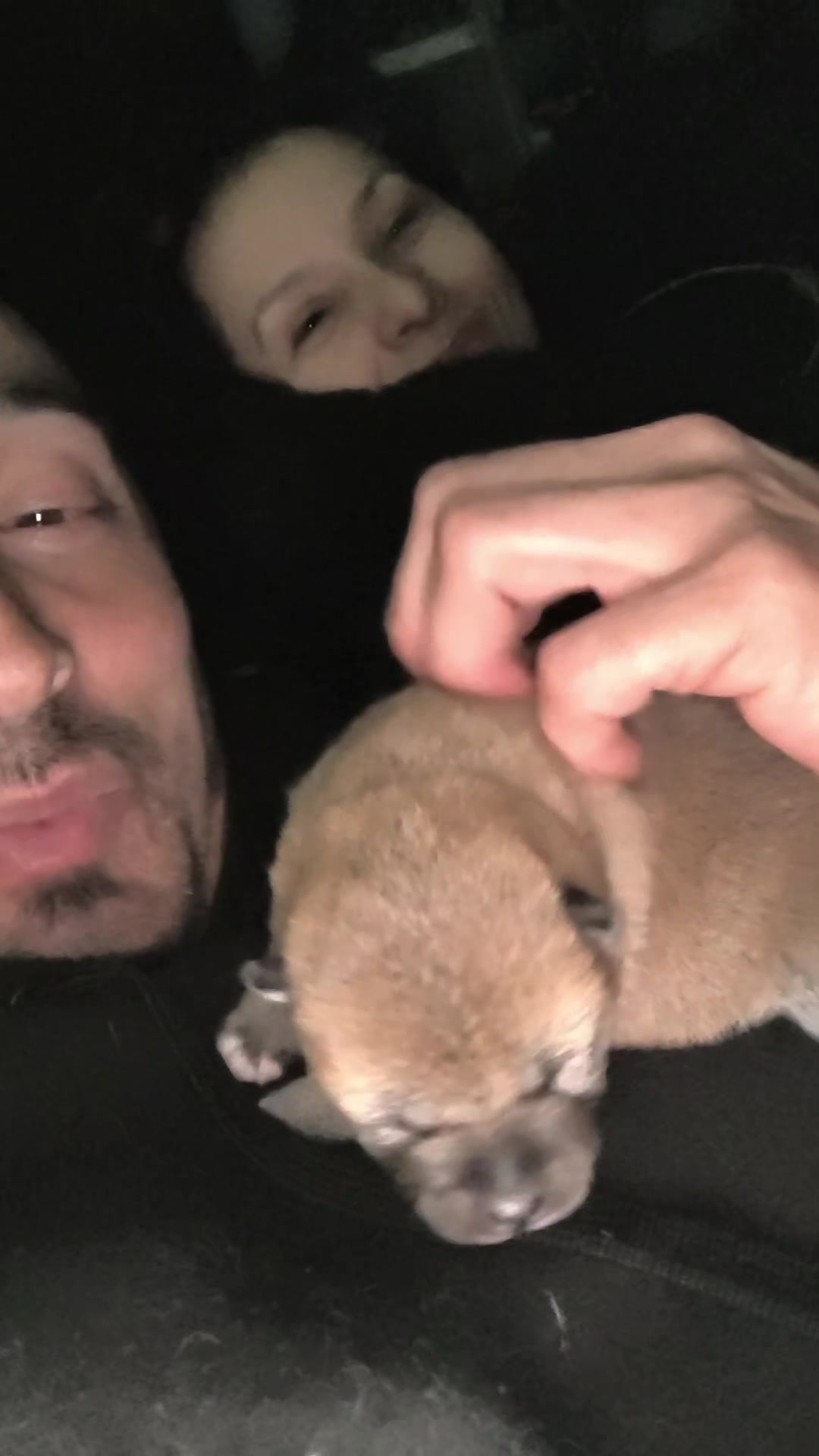@Demona's Hellhounds Kennel