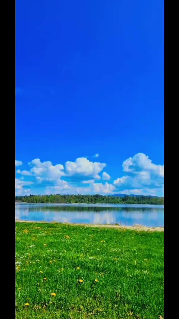 @S..S