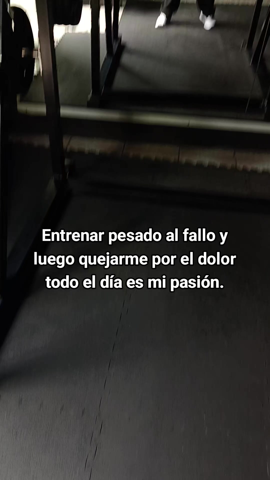 @Tavozdk
