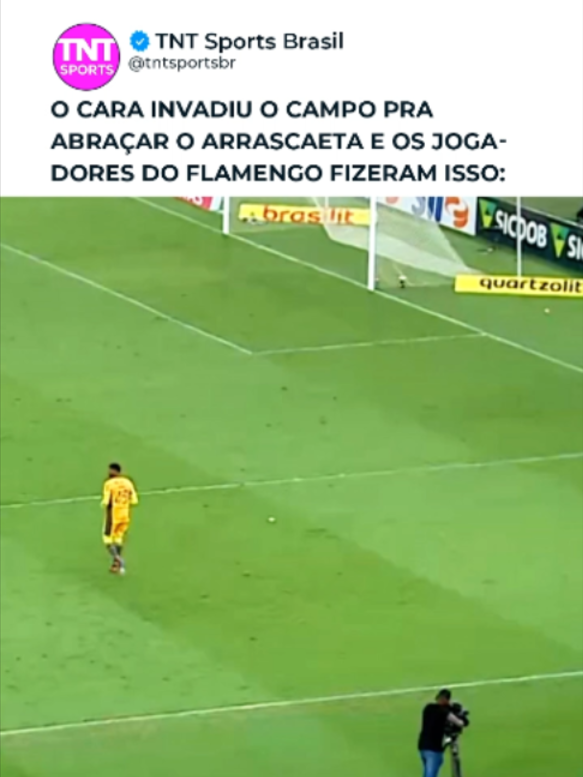 @TNT Sports Brasil