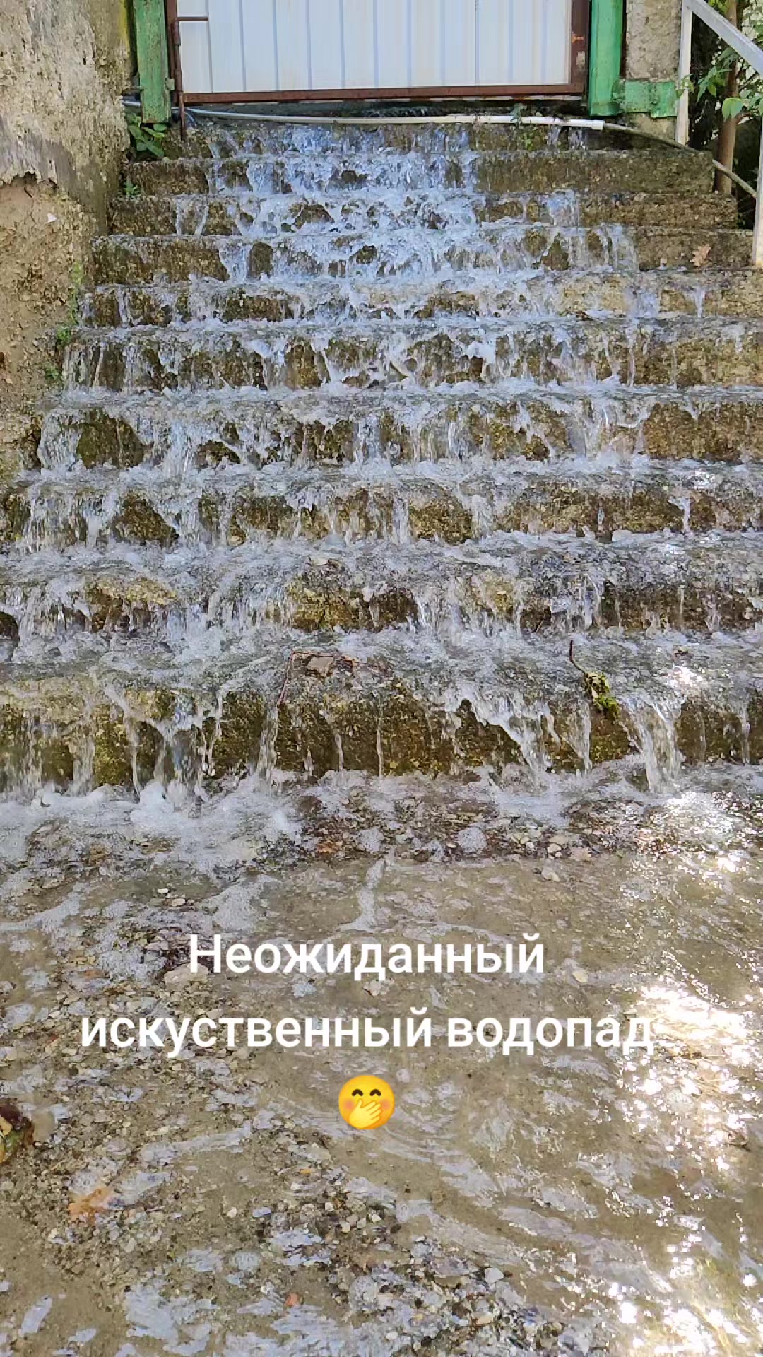 @Алеx 41-23 регион
