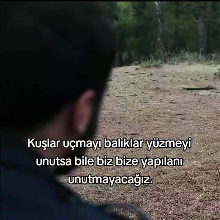 @𝐐𝐔𝐄𝐂𝐇𝐔𝐀