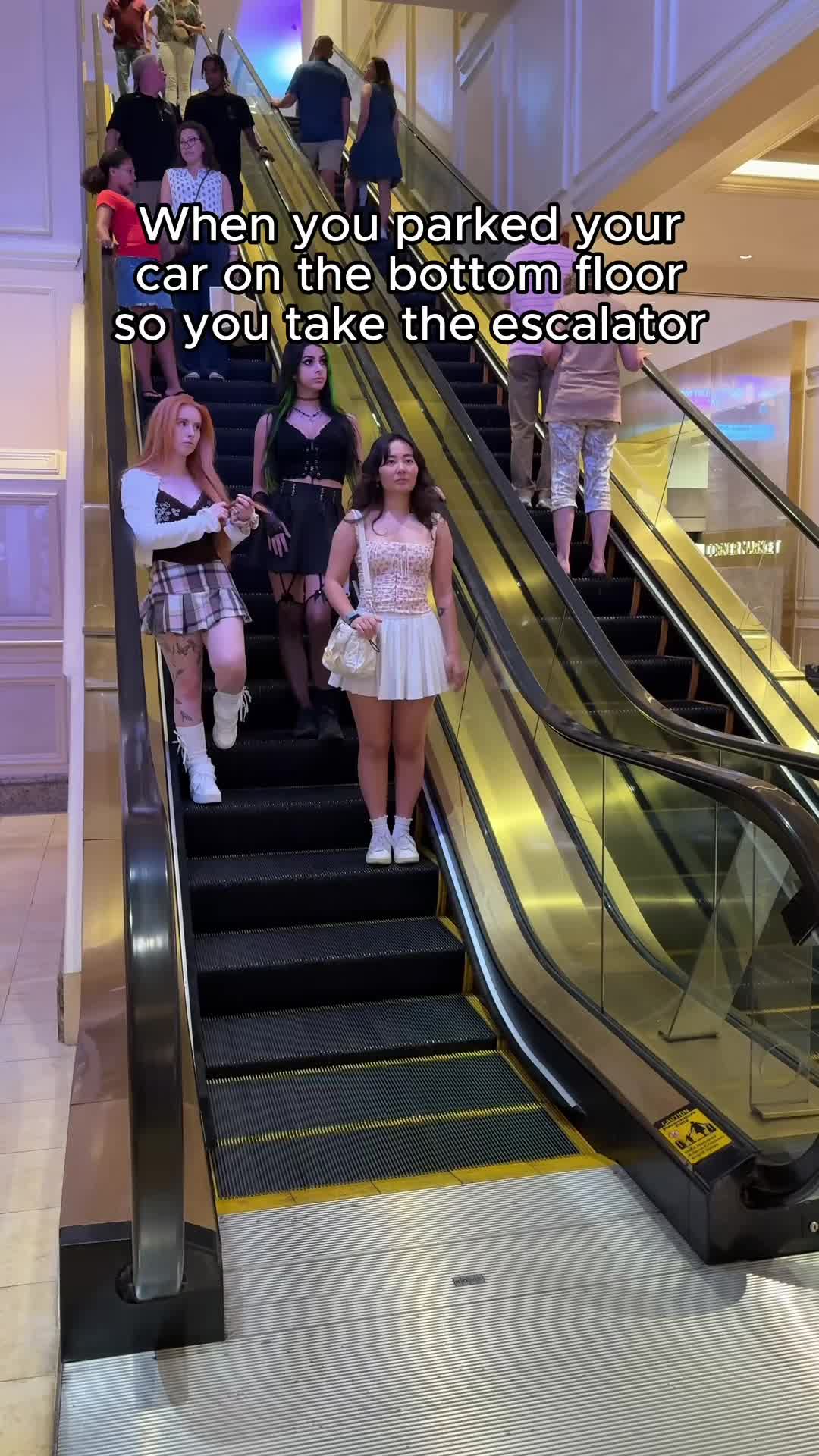 @Alana Cho