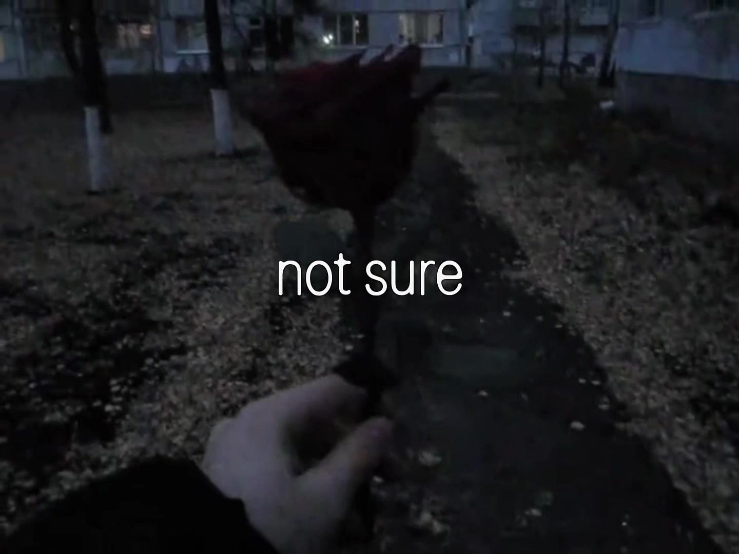 @bug