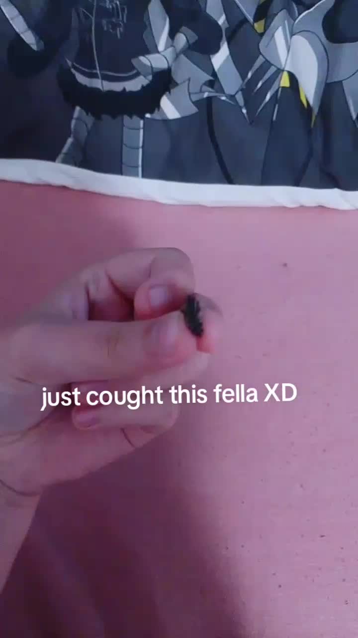 @sourpickel