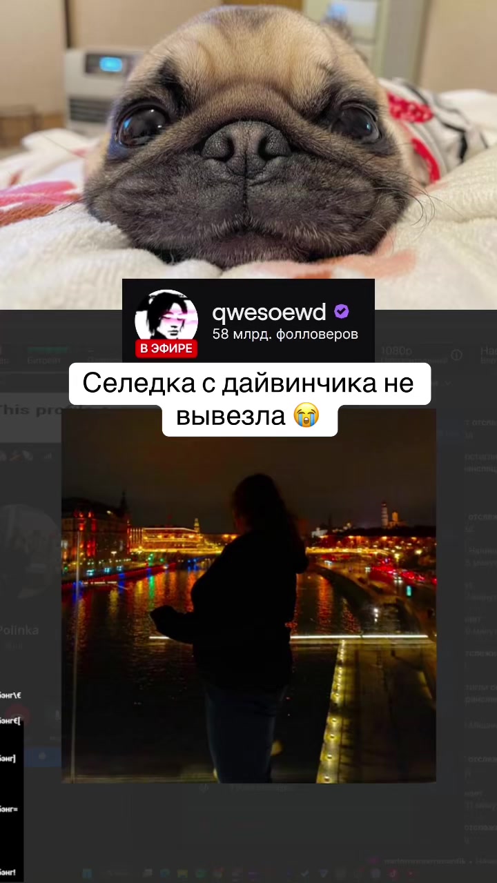 @qwesoewd_official