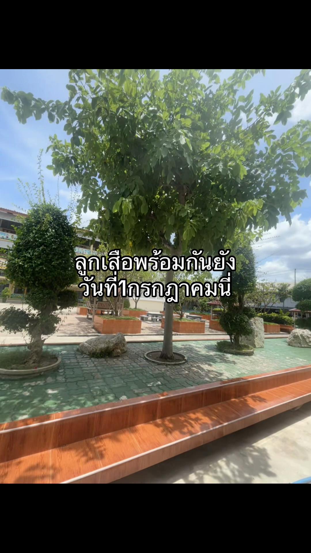 @เธรดตามอารมณ์