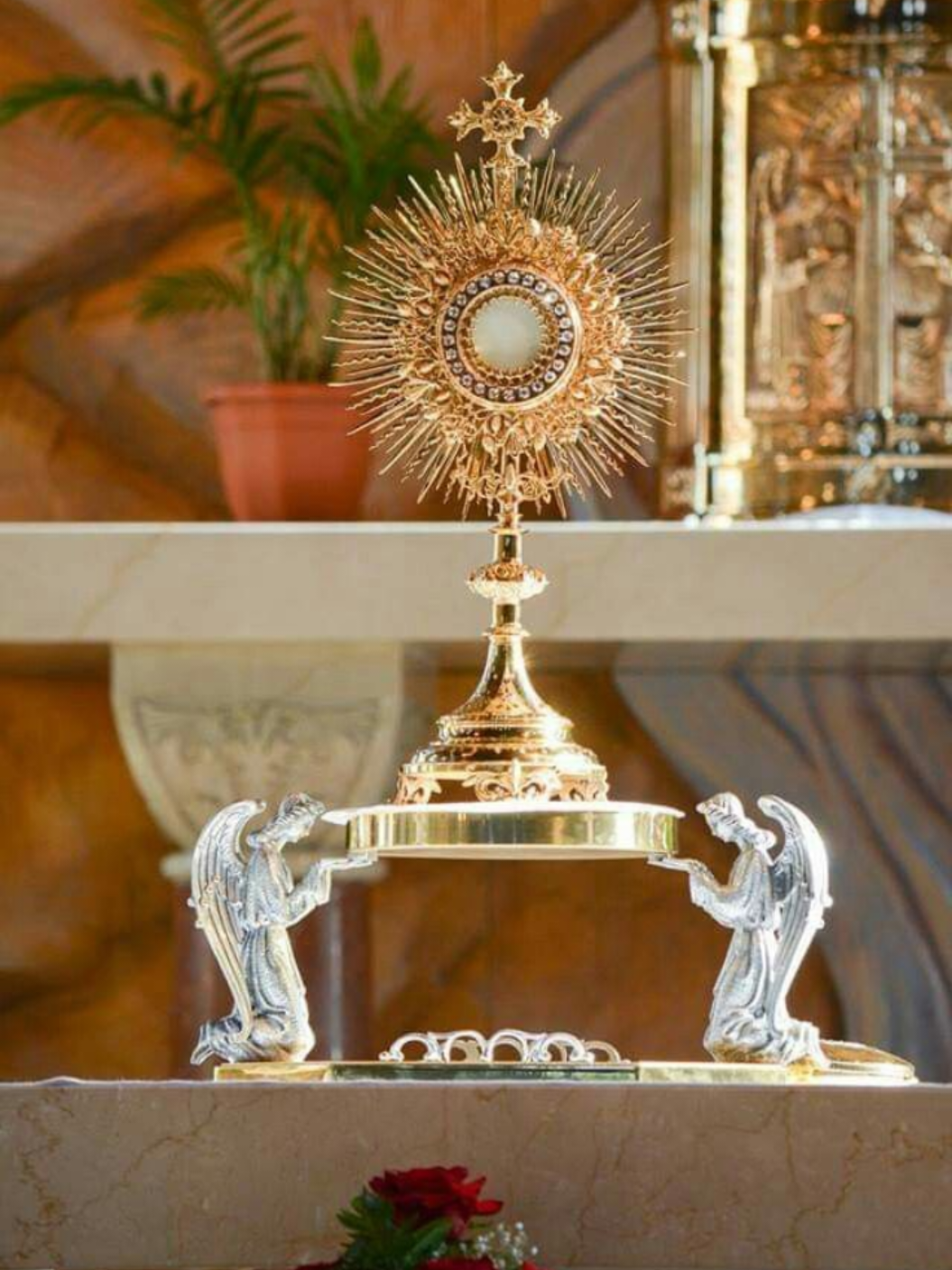 @jovem cat&oacute;lico