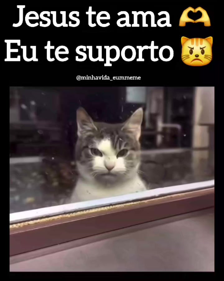 @"MINHA VIDA &Eacute; UM MEME"