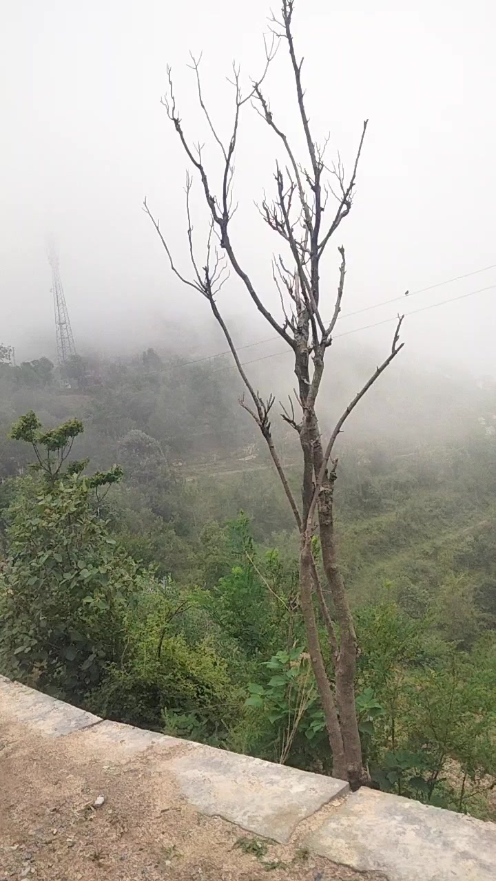 @nasimullahsaidkheil
