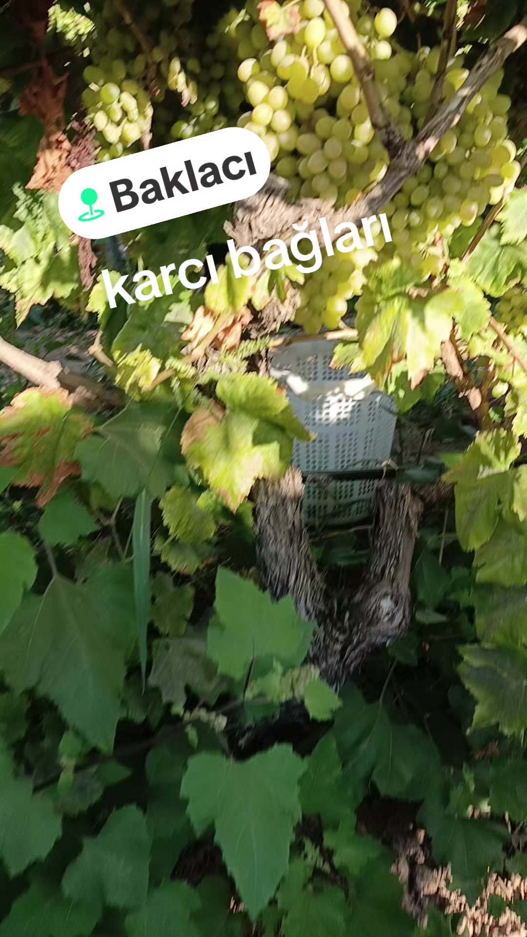 @Hatice altinkaynak