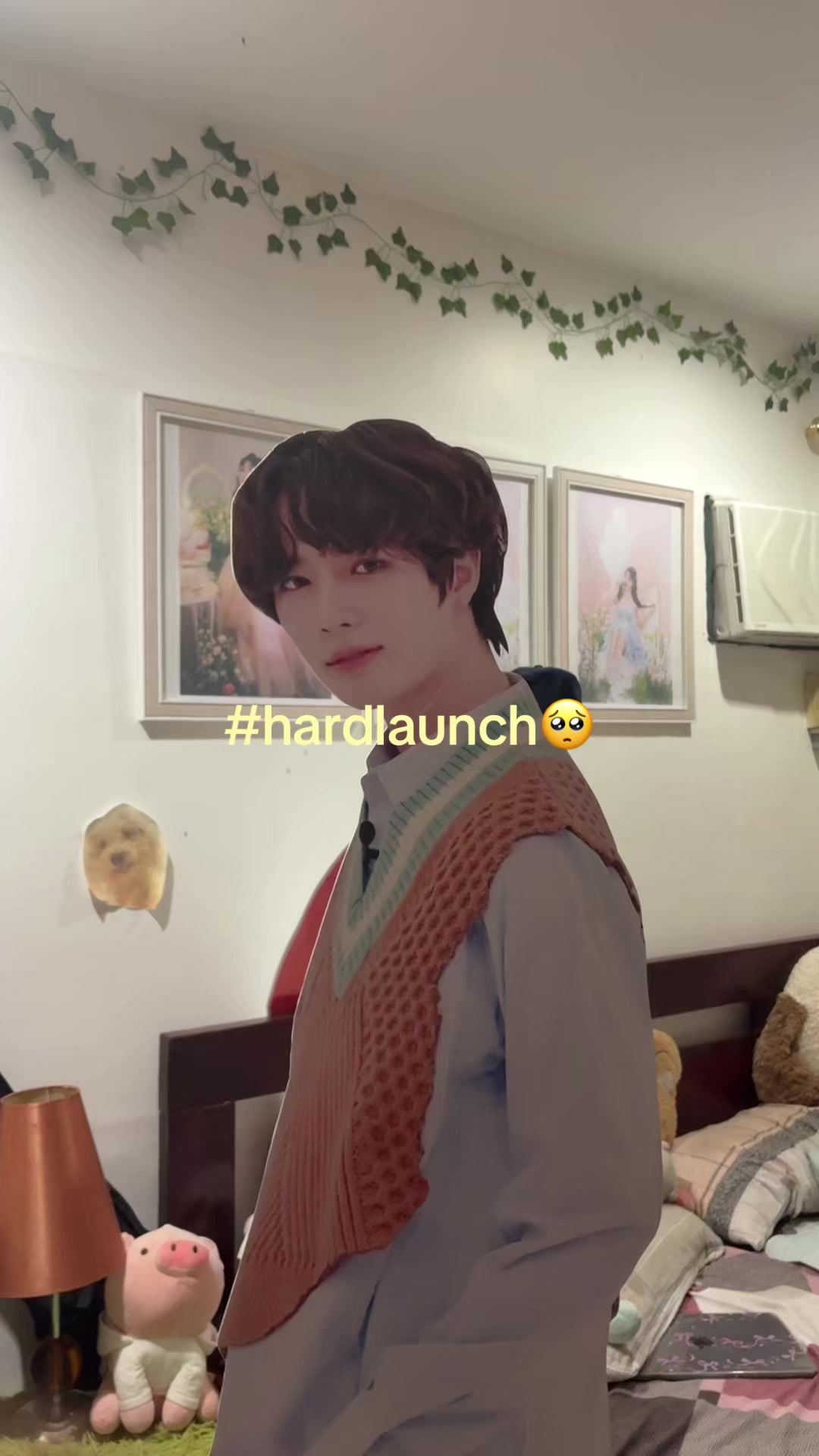 @rany🪽‧₊˚