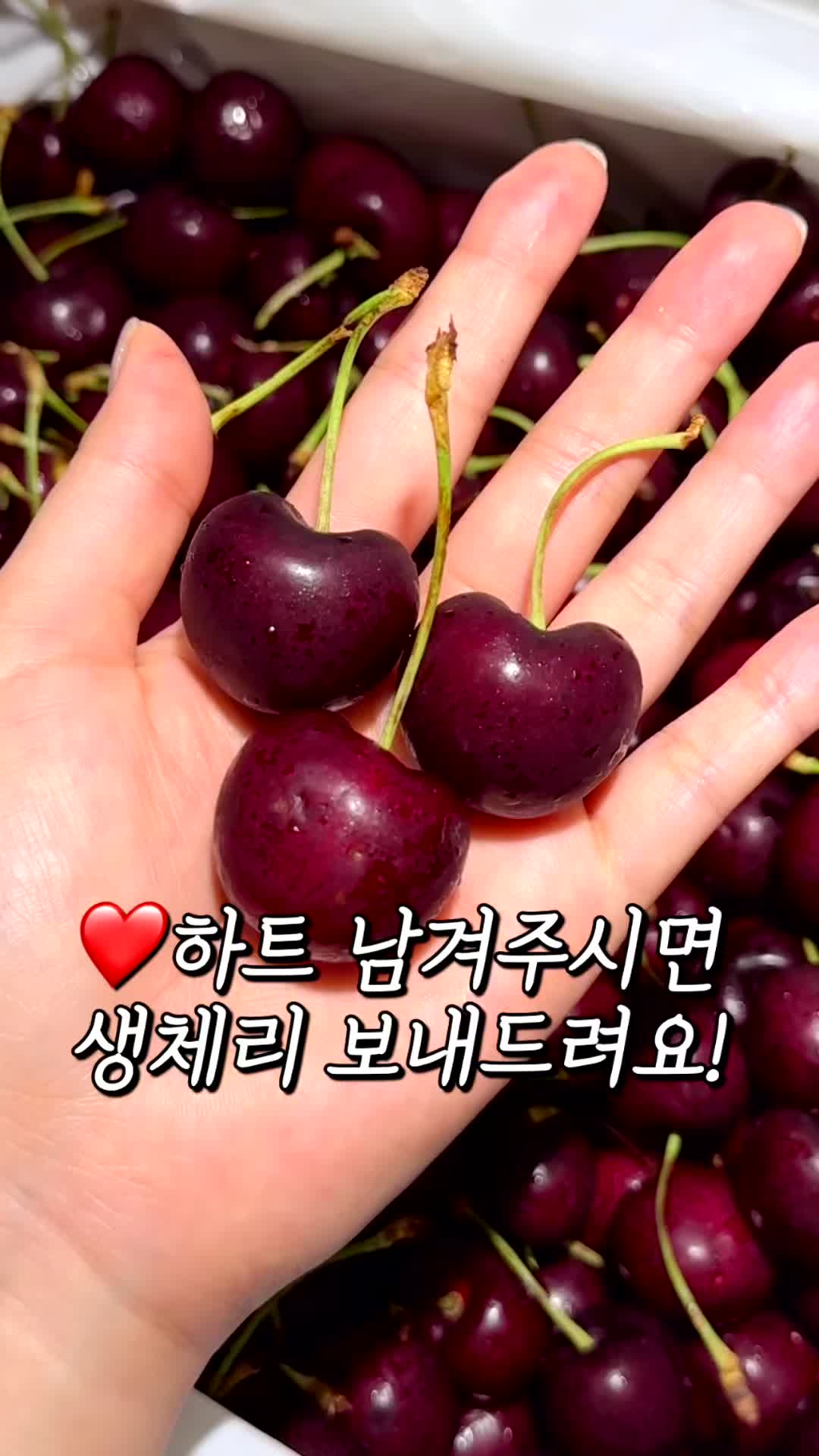 @바니얌 bani.yum