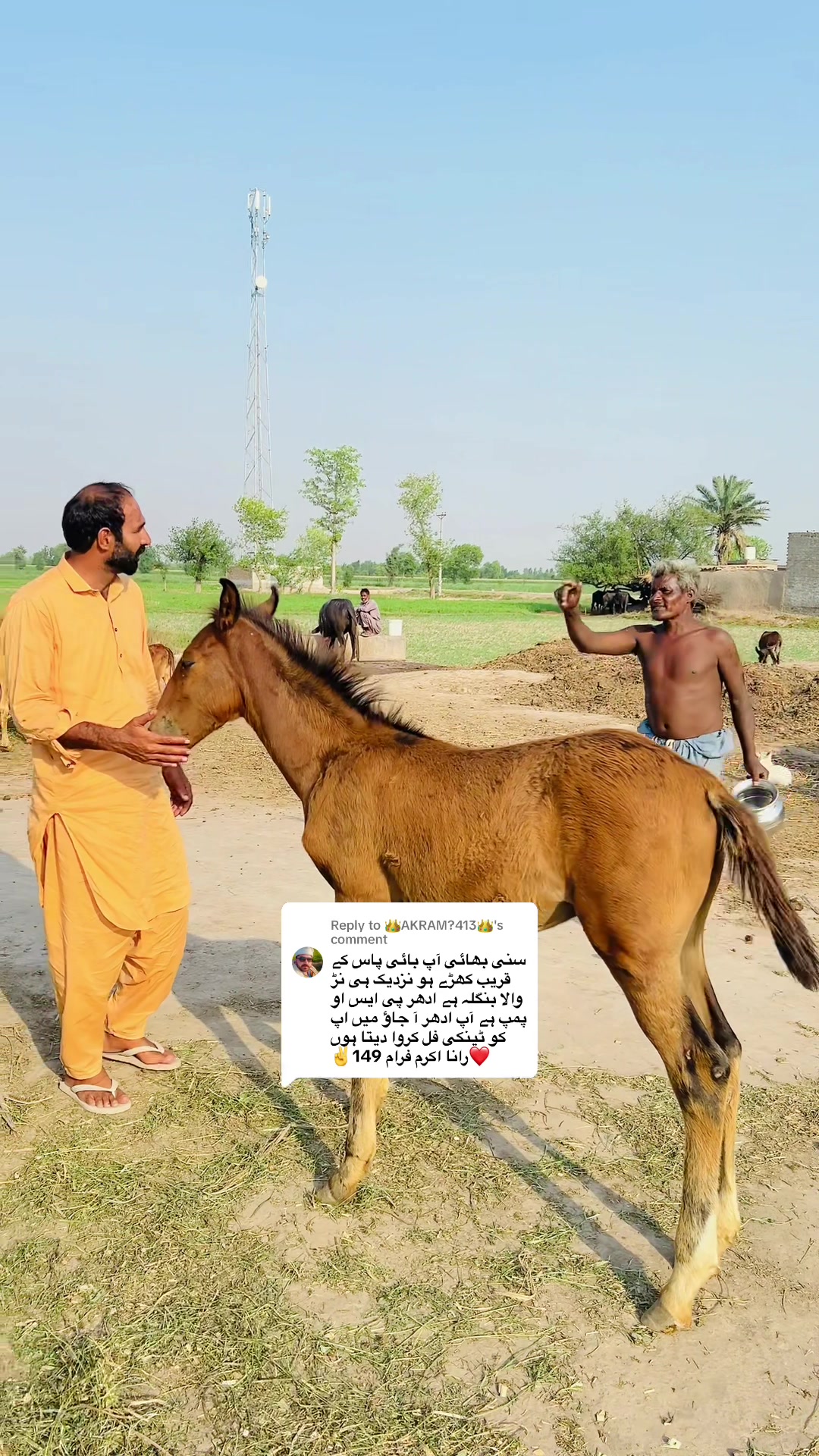 @SUNNY JAPPA