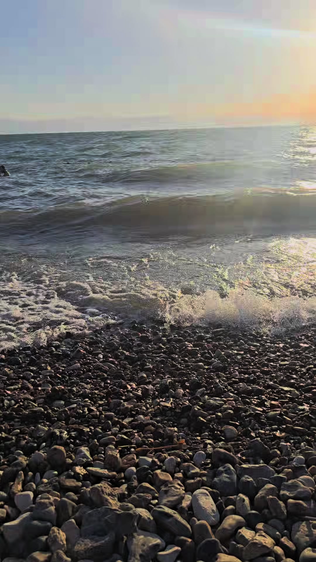 @الاء زيدان سكران محاميد