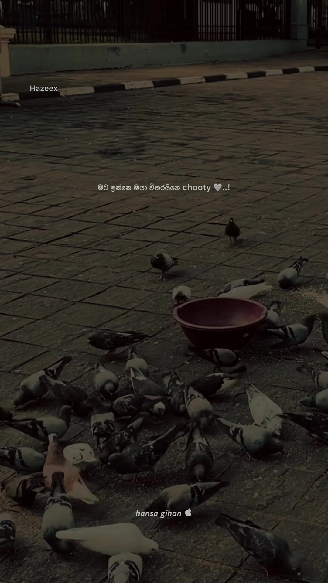 @𝗛𝗮𝗻𝘀𝗮 🕊