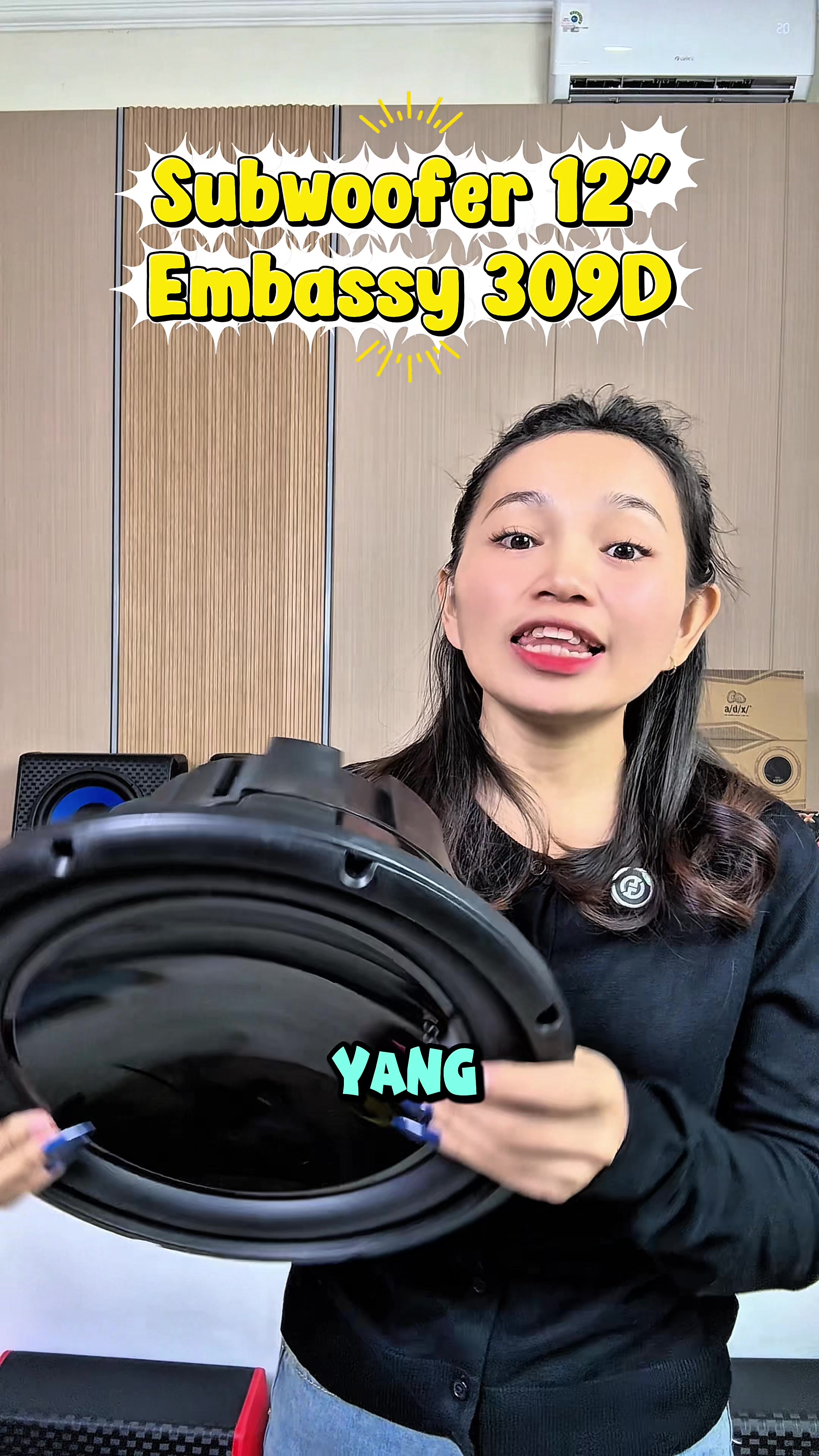 @JV Monster Car Audio Store