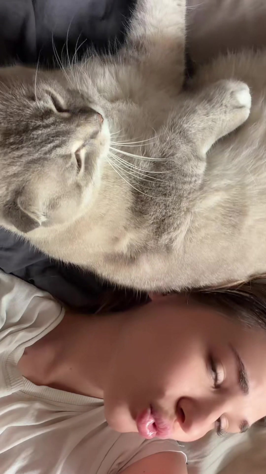 @лавлиска