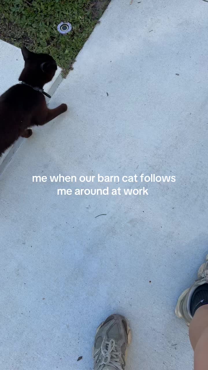 @Evana Lutz