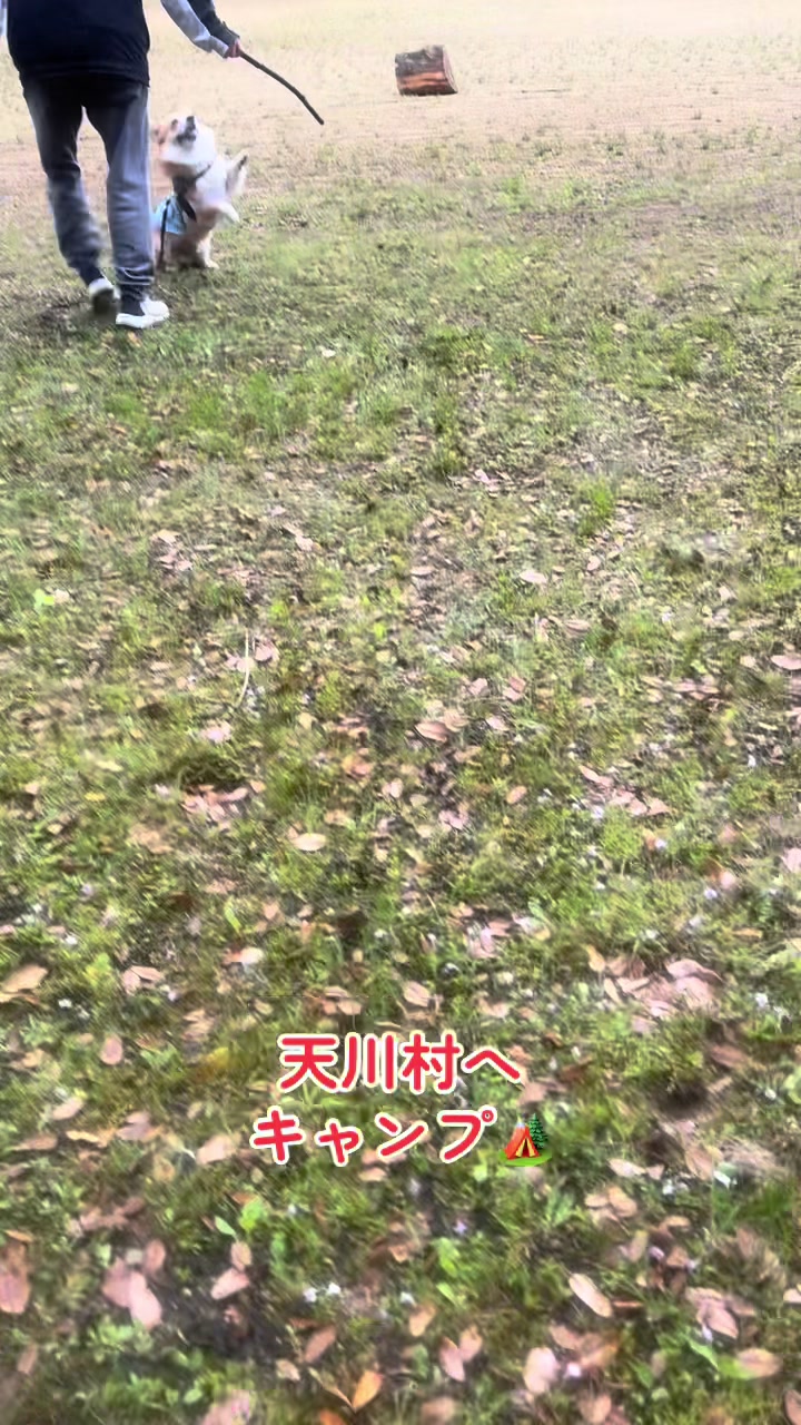 @🐾じゅんこ🐾