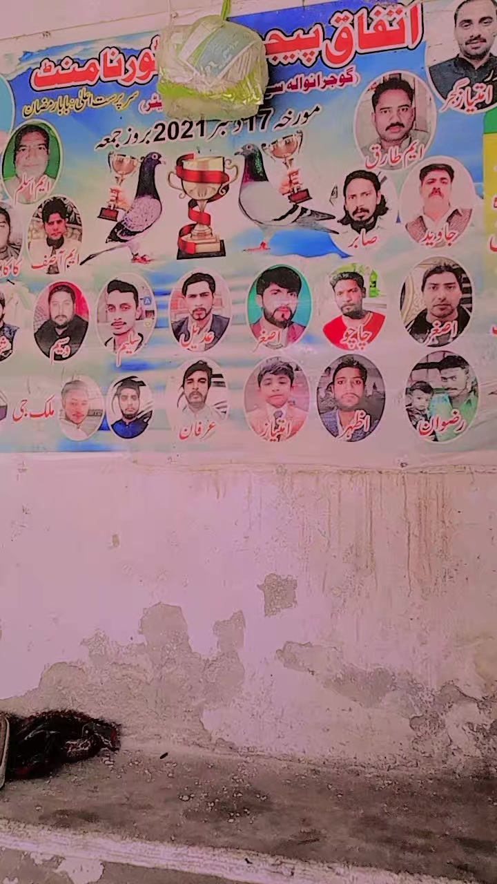 @Adnan 81☠️