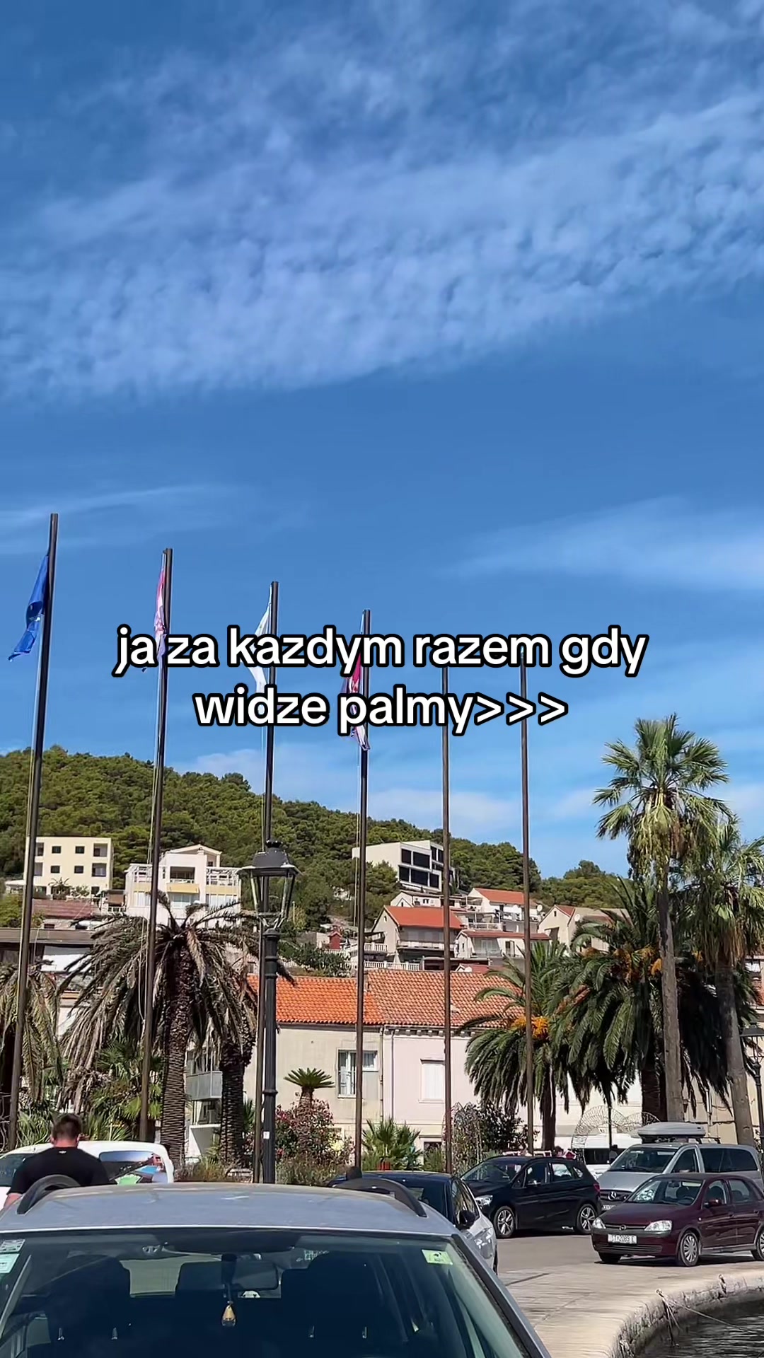 @Amelkaa🇵🇱🇭🇷