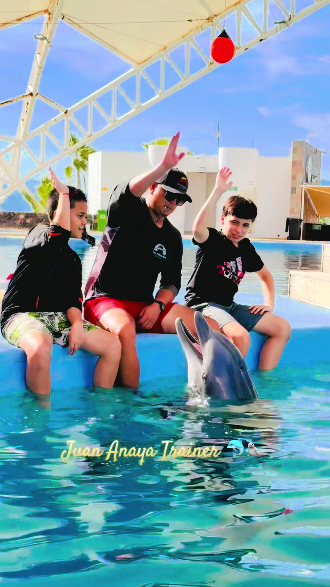 @Juan Anaya Trainer 🐬🦭